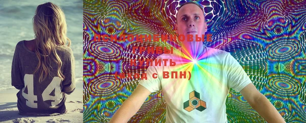 прущая мука Арсеньев